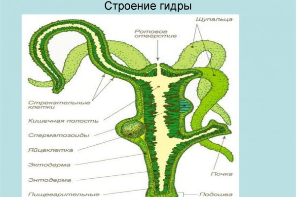 Блэкспрут не работает