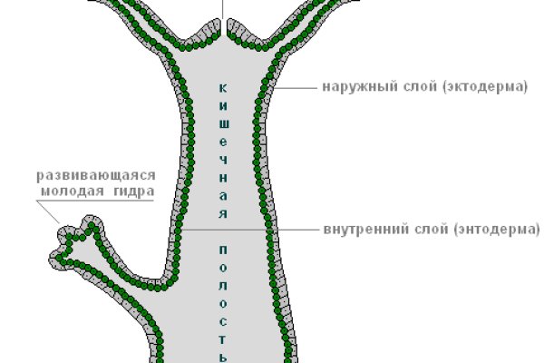 Правильная ссылка на blacksprut torbazah