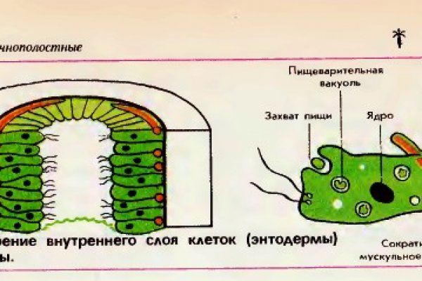 Badabingshop com ссылка blacksprut bsconnect co