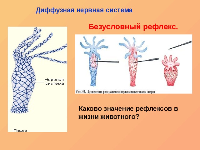 Сайт blacksprut на торе ссылка